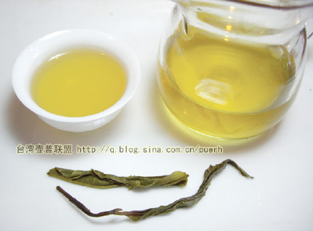 大渡岗-普洱茶的毛茶(紧条)/潘俊宏 评鉴 Life tea | 生活禪茶  评鉴 紧条 潘俊宏 毛茶 普洱茶 大渡岗   [ 潘俊宏 Arttopan -艺术家 artist ]