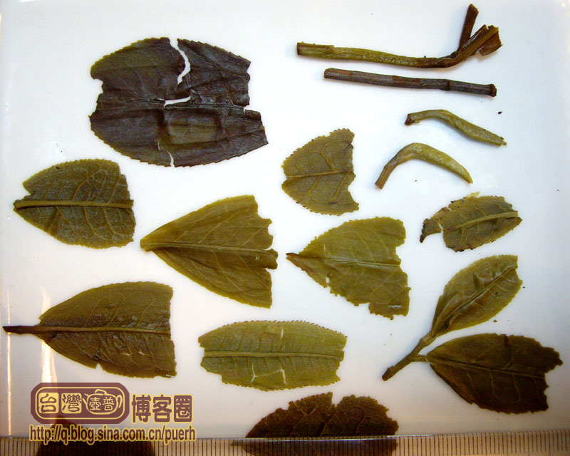 【厦门国际马拉松赛普洱茶纪念饼】-中茶-2007年-生茶(8991)/潘俊宏 原创 Life tea | 生活禪茶  马拉松赛 纪念 潘俊宏 普洱茶 厦门 原创 中茶   [ 潘俊宏 Arttopan -艺术家 artist ]