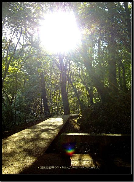 云南鸡足山-禅宗的发源地-佛教灵山行旅 Blog  鸡足山 禅宗 山行旅 发源地 佛教 云南   [ 潘俊宏 Arttopan -艺术家 artist ]