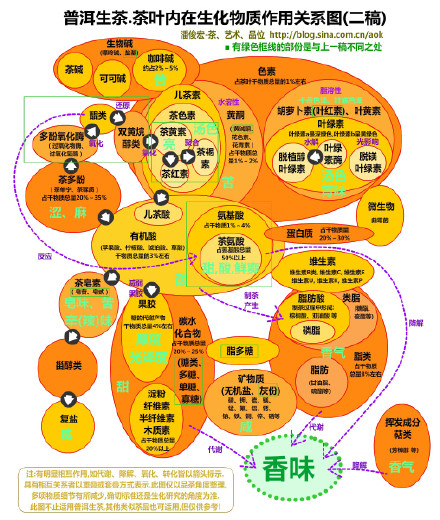 (旧稿)普洱生茶.茶叶内在生化物质作用关系图 Blog  茶叶 生茶 生化 物质 普洱 旧稿 内在 关系 作用   [ 潘俊宏 Arttopan -艺术家 artist ]