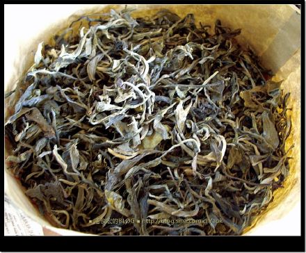 2007/5/13 石昆牧老师"求败"茶品拼配-昌泰普洱茶 Life tea | 生活禪茶  茶品 老师 石昆牧 求败 普洱茶 昌泰 拼配   [ 潘俊宏 Arttopan -艺术家 artist ]