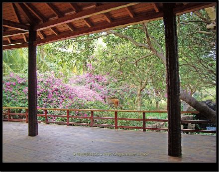 (1)海南行旅-五公祠.香水湾.富力湾.南湾猴岛.亚龙湾 Blog  香水 行旅 猴岛 海南 富力湾 南湾 亚龙湾 五公祠   [ 潘俊宏 Arttopan -艺术家 artist ]