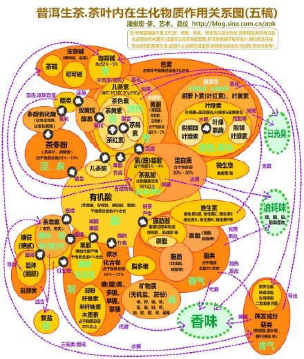 (旧稿)普洱生茶.茶叶内在生化物质作用关系图 Blog  茶叶 生茶 生化 物质 普洱 旧稿 内在 关系 作用   [ 潘俊宏 Arttopan -艺术家 artist ]