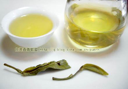 南糯山(半坡寨,台地茶)-普洱茶的毛茶/潘俊宏 评鉴 Life tea | 生活禪茶  评鉴 潘俊宏 毛茶 普洱茶 台地 南糯山 半坡寨   [ 潘俊宏 Arttopan -艺术家 artist ]