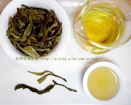 巴达-普洱茶的毛茶/潘俊宏 评鉴 Life tea | 生活禪茶  评鉴 潘俊宏 毛茶 普洱茶 巴达   [ 潘俊宏 Arttopan -艺术家 artist ]