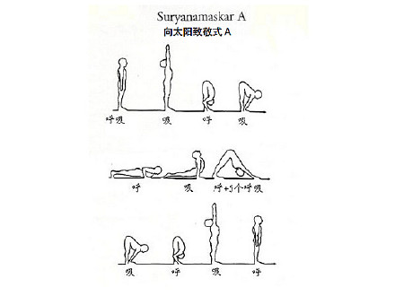 (转)Surya namaskar 向太阳致敬式及其变化练习方式 Blog  致敬 练习 方式 太阳 变化 及其 surya namaskar   [ 潘俊宏 Arttopan -艺术家 artist ]