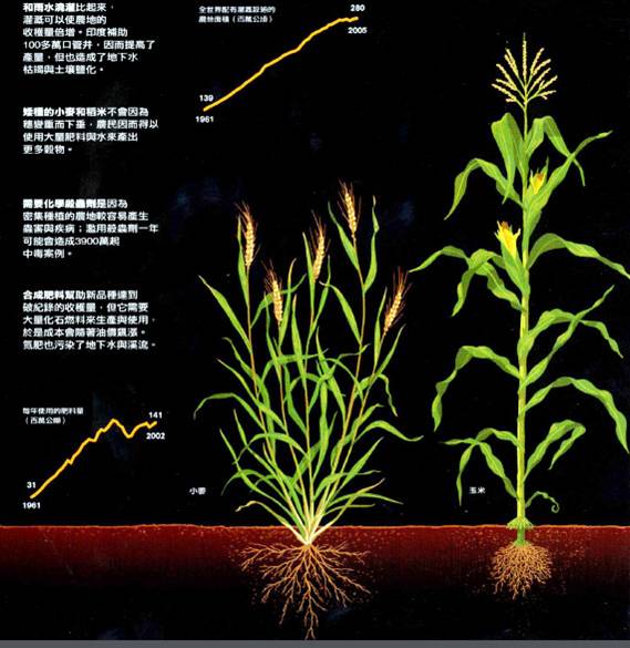 [转载]世界粮食危机，我们可以高枕无忧吗 Blog  高枕无忧 转载 粮食 我们 可以 危机 世界   [ 潘俊宏 Arttopan -艺术家 artist ]