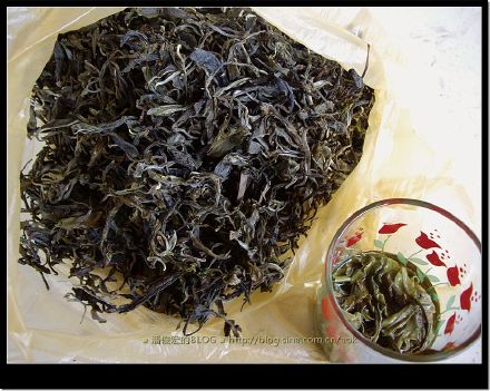 2007/5/16 新司土的"老婆婆茶"及龙帕的"热情茶" Life tea | 生活禪茶  龙帕 老婆婆 热情 新司土 因茶   [ 潘俊宏 Arttopan -艺术家 artist ]