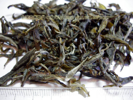 南糯山(半坡寨,台地茶)-普洱茶的毛茶/潘俊宏 评鉴 Life tea | 生活禪茶  评鉴 潘俊宏 毛茶 普洱茶 台地 南糯山 半坡寨   [ 潘俊宏 Arttopan -艺术家 artist ]